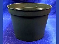 4½" Round Green Pot 3¼" Tall